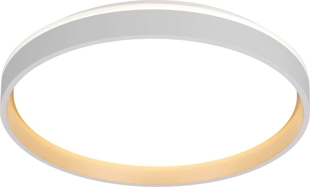 Потолочный светильник Citilux CL753450G