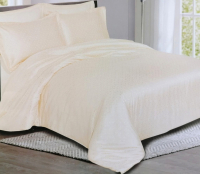 Комплект постельного белья Alleri Сатин Jacquard Premium 2сп с европростыней / СЖ-059 - 