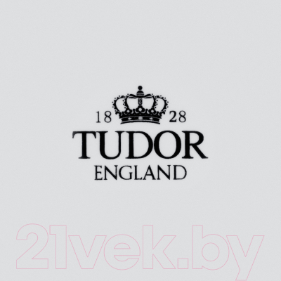 Тарелка столовая глубокая Tudor England TU3586
