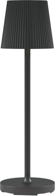 Прикроватная лампа Elektrostandard Mist TL70220 (черный)
