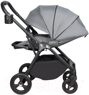 Детская прогулочная коляска Aimile Aster / AS-003 (серый)