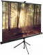 Миниатюра изображения товара Проекционный экран Cactus TriExpert CS-PSTE-180x135-BK