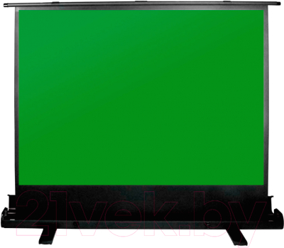 Проекционный экран Cactus GreenFloorExpert CS-PSGFE-200X150