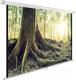 Миниатюра изображения товара Проекционный экран Cactus WallExpert CS-PSWE-220x220-WT