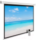 Миниатюра изображения товара Проекционный экран Cactus MotoExpert CS-PSME-300x225-WT
