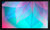 

Проекционный экран, FrameExpert CS-PSFRE-220X124
