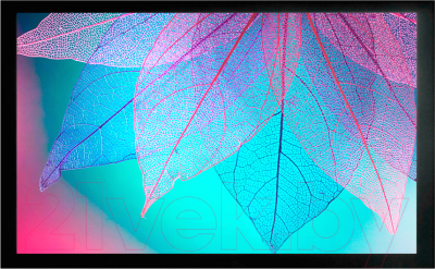 Проекционный экран Cactus FrameExpert CS-PSFRE-220X124