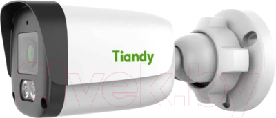 IP-камера Tiandy TC-C321N I3/E/Y/2.8mm 