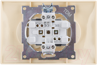 Розетка TDM Лама SQ1815-0124 (слоновая кость)