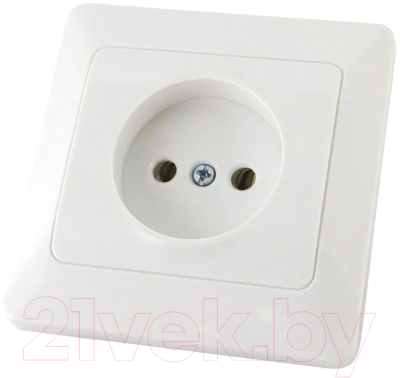 Розетка TDM Ильмень SQ1823-0009 (белый)