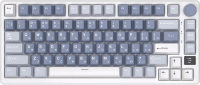 Клавиатура Royal Kludge RK-M75 RGB (синий, Silver Switch) - 