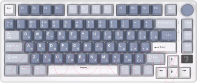 Клавиатура Royal Kludge RK-M75 RGB (синий, Silver Switch)