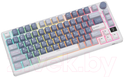 Клавиатура Royal Kludge RK-M75 RGB (синий, Silver Switch)