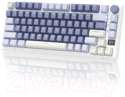 Клавиатура Royal Kludge RK-M75 RGB (синий, Silver Switch)