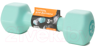 Изображение товара Гантель Maxiscoo Fit 3кг / MSF-LU-220723-3-MN (мятный)