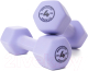Миниатюра изображения товара Гантель Maxiscoo Fit 4кг / MSF-LU-220723-4-PR (фиолетовый)