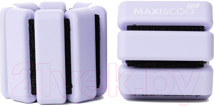 Утяжелитель Maxiscoo Fit MSF-XN-230723-205-PR