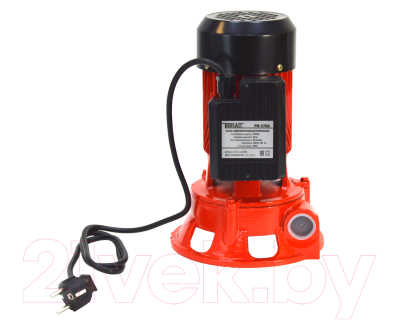 Изображение товара Поверхностный насос Brait PN-370A
