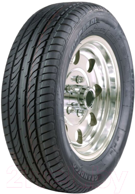 Летняя шина Compasal Grandeco 205/55R16 91V