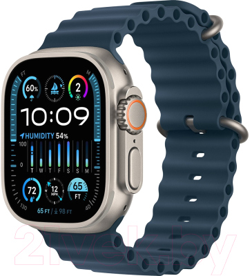 Умные часы Apple Watch Ultra 2 LTE 49mm (титановый корпус/синий, ремешок из эластомера)