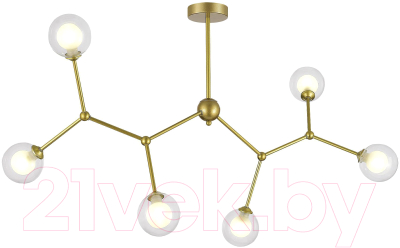 Люстра Evoluce SLE1106-203-06