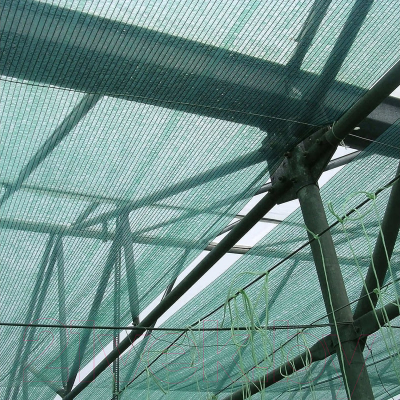 Сетка фасадная Rendell 2x50 50-55% (темно-зеленый)