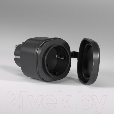 Умная розетка Elektrostandard 76103/00 (черный)