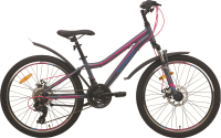 Велосипед AIST Rosy Junior 2.1 24 2024 (серый) - 