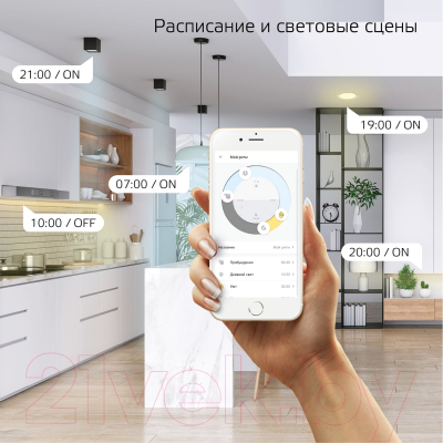 Потолочный светильник Gauss IoT Smart Home / 2060112 (белый)