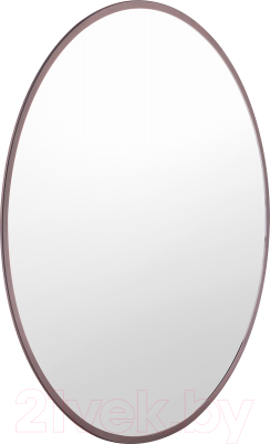 Зеркало Saniteco 1V10 50 (венге)