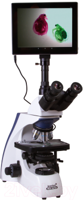Микроскоп цифровой Levenhuk MED D30T LCD тринокулярный / 73999