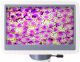Миниатюра изображения товара Микроскоп цифровой Levenhuk D85L LCD монокулярный / 78902