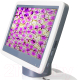 Миниатюра изображения товара Микроскоп цифровой Levenhuk D85L LCD монокулярный / 78902
