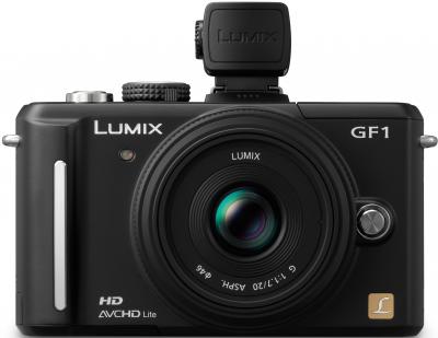 Беззеркальный фотоаппарат Panasonic Lumix DMC-GF1-K - возможность крепления аксессуаров
