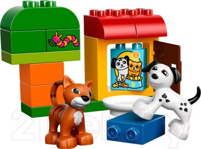 Конструктор Lego Duplo Лучшие друзья: кот и пёс (10570) - общий вид
