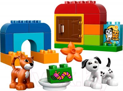 Конструктор Lego Duplo Лучшие друзья: кот и пёс (10570) - общий вид