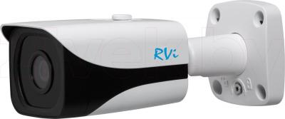 IP-камера RVi IPC43DNS - общий вид