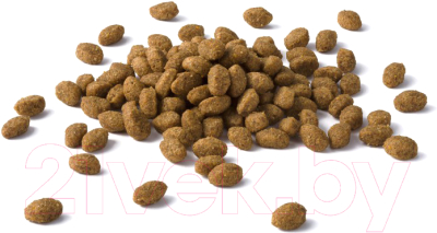 Сухой корм для кошек Cat Chow Sterilized полнорационный (1.5кг)