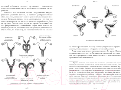 Книга КоЛибри Ева. История эволюции женского тела / 9785389235786 (Бохэннон К.)