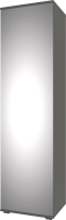 Шкаф-пенал НК Мебель Stark однодверный / 71579687 (серый графит) - 