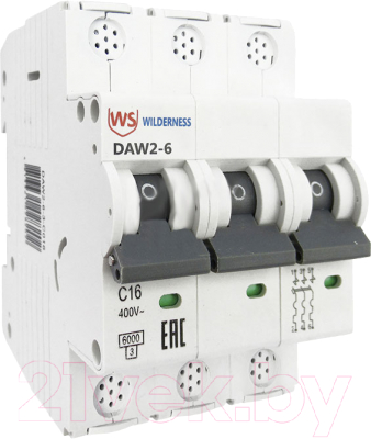 Выключатель автоматический Wilderness DAW2-6 3P 10A B 6kA / DAW2-6-3-B010
