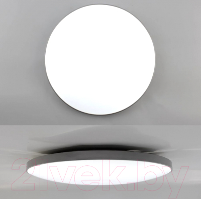 Изображение товара Потолочный светильник Estares Moon 50W R-ON/OFF-380x65-White/Silver-220-IP44