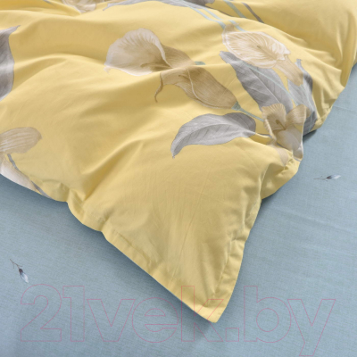 Комплект постельного белья Sofi de Marko Беатриче Евро Макси 2н / Евро-МК-5609 (желтый)