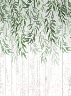 Фотообои листовые Vimala Листья акварель 3 (270x200)