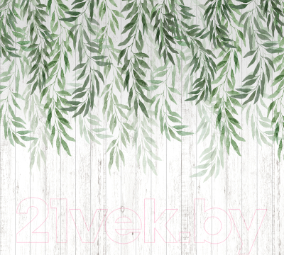 Фотообои листовые Vimala Листья акварель 3 (270x300)