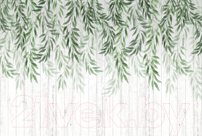 Фотообои листовые Vimala Листья акварель 3 (270x400)