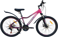 Велосипед GreenLand Demetra 24 (14, фиолетовый) - 