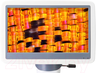 Микроскоп цифровой Levenhuk D95L LCD / 78903