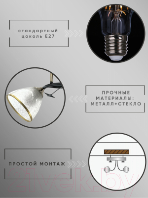 Потолочный светильник Aitin-Pro НПБ 02-2x60-101 / 6051/2 (черный/бронза)