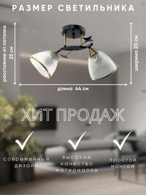 Потолочный светильник Aitin-Pro НПБ 02-2x60-101 / 6051/2 (черный/бронза)